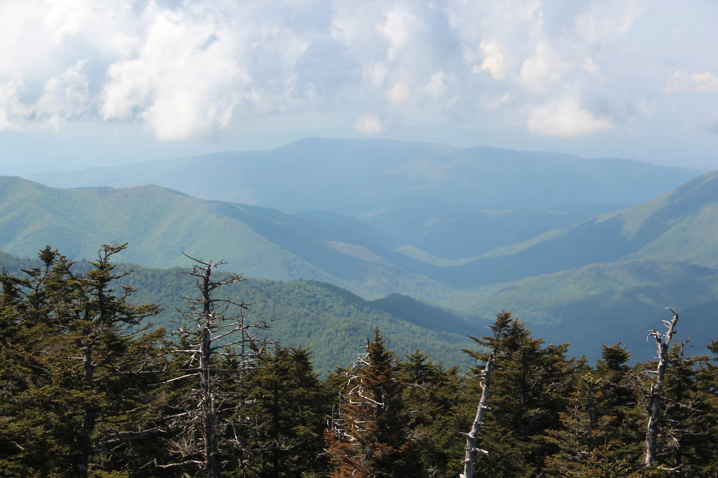 Cove Mountain ridges in East Tennessee
